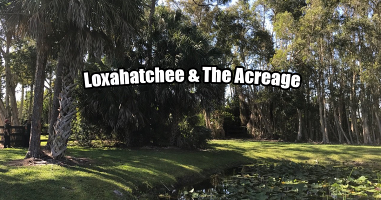 Tree Removal in Loxahatchee & The Acreage